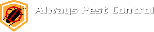 Always Pest Control