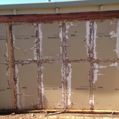Always Pest Control Termite Damage And Trails In Ware House 8