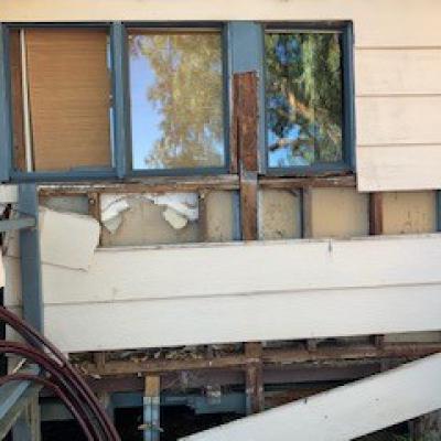 Always Pest Control Termite Damange To House Left Untreated 3